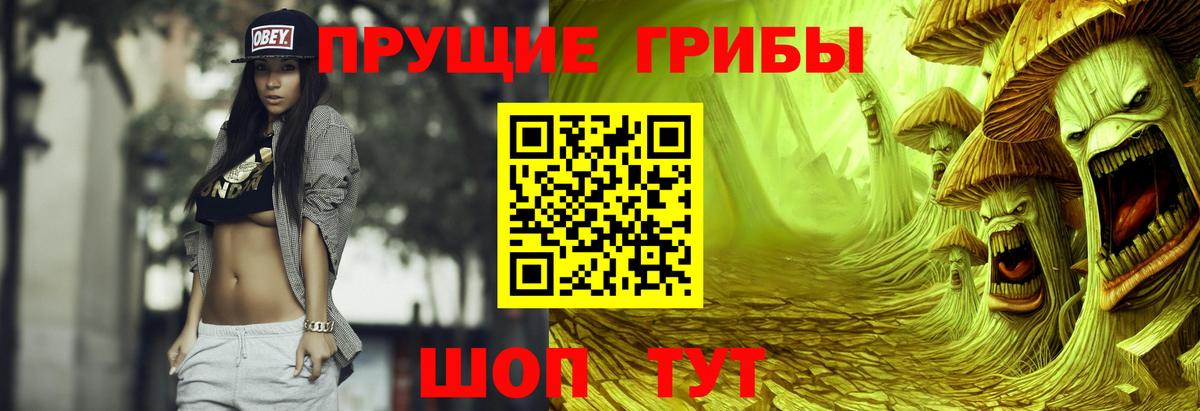 Знаменск  Псилоцибиновые грибы GOLDEN TEACHER  Вход с VPN 